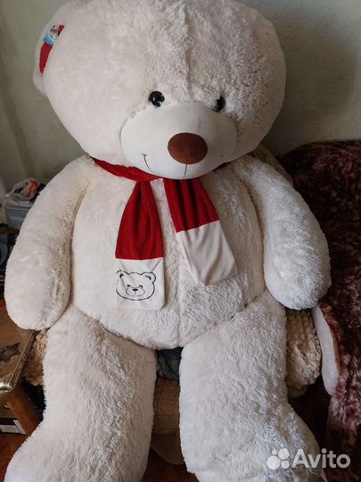 Большие плюшевые медведи