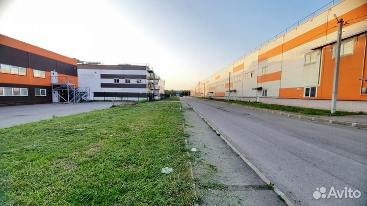 Покос Травы