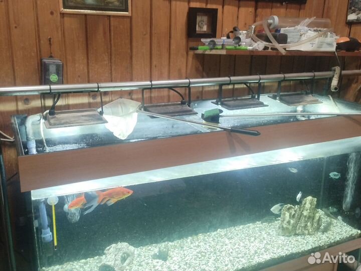 Аквариум с тумбой juwel