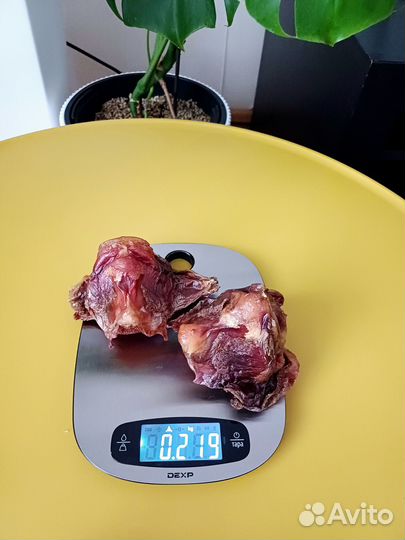 Лакомства для собак