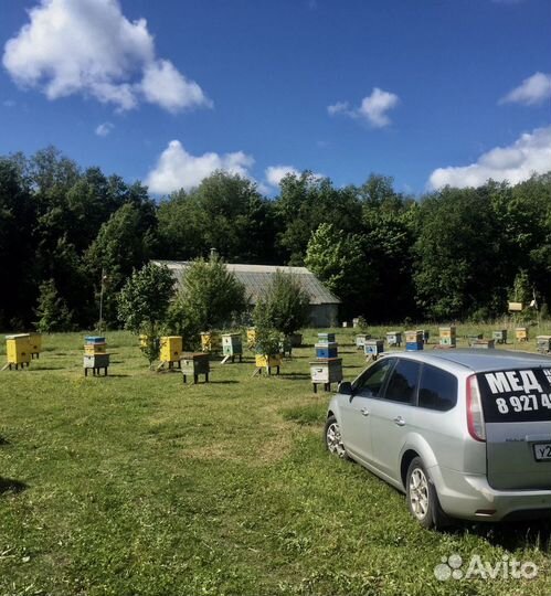 Мед с доставкой мёд и другие продукты пчеловодства