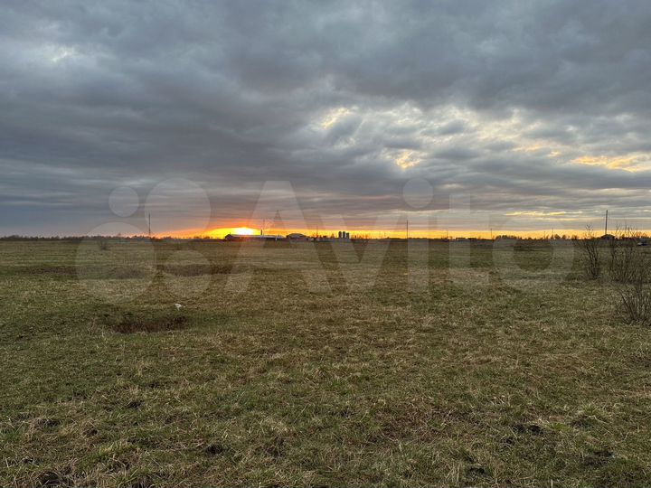 Участок 1,5 га (СНТ, ДНП)