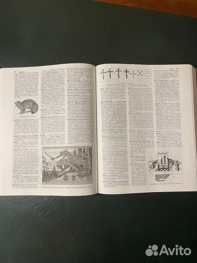 Книга иллюстрированный энциклопедический словарь