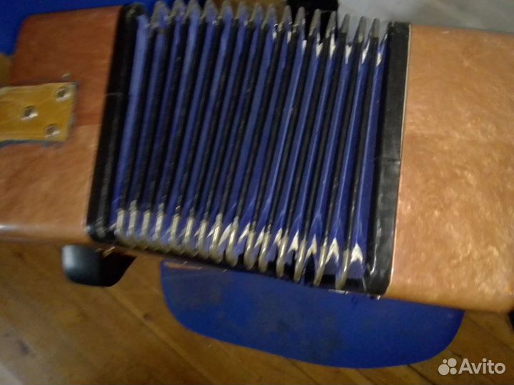 Баяны Восток и Мелодия