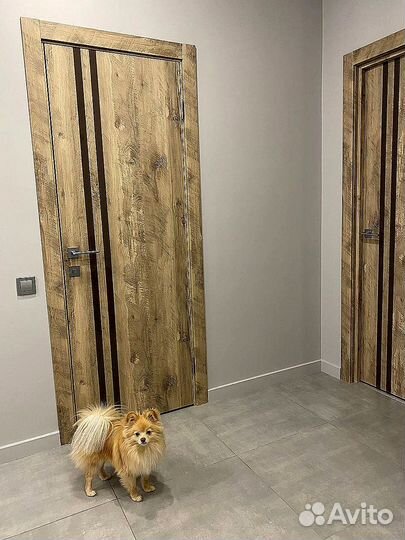 Межкомнатные двери премиум класса