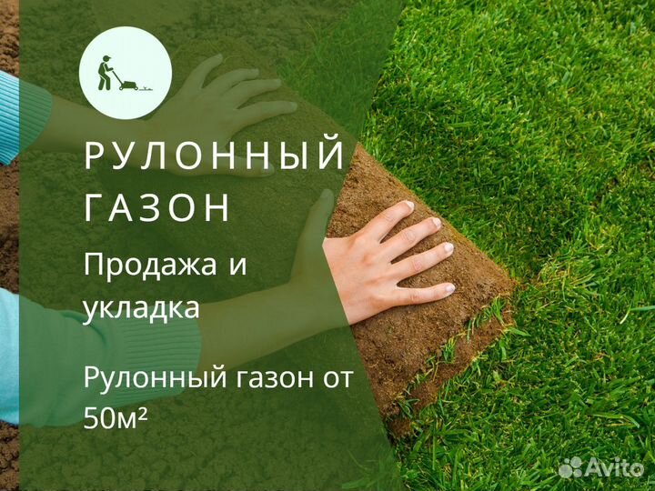 Укладка и продажа рулонного газона