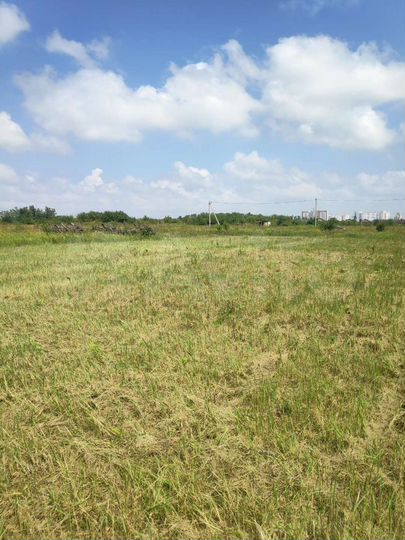 Участок 10 сот. (СНТ, ДНП)