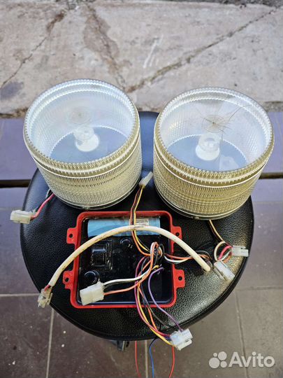 Старбоскопы Элина