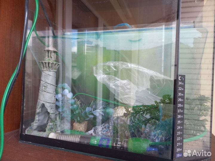 Аквариум