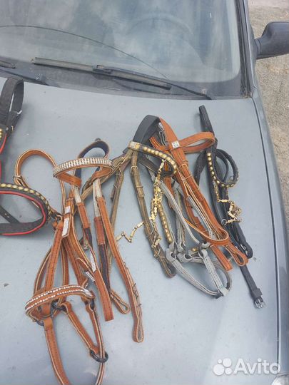 Уздечка для лошади