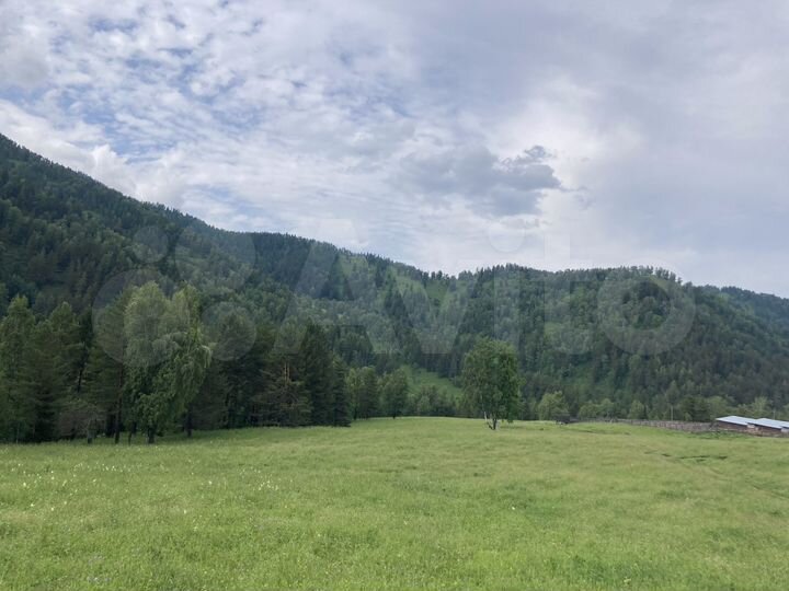 Участок 13,09 га (СНТ, ДНП)