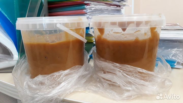 Мед алтайский 2022 года