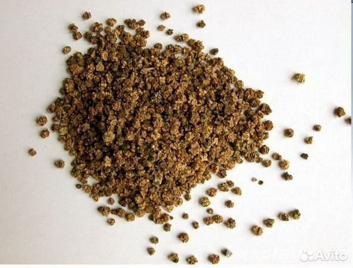 Семена столовой свеклы Бордо односемянная