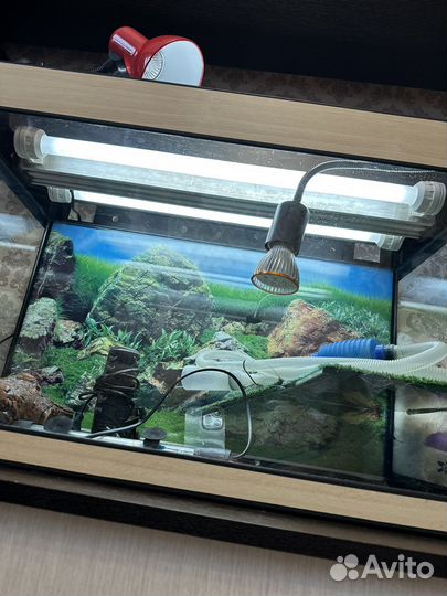 Аквариум