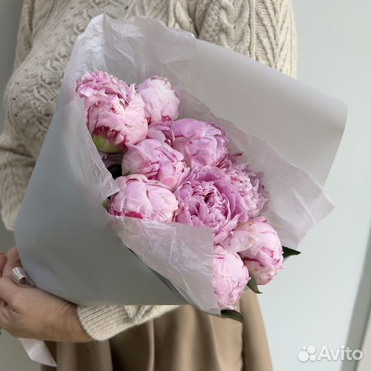 Пионы оптом. Букет пионов из 9 шт Голландия