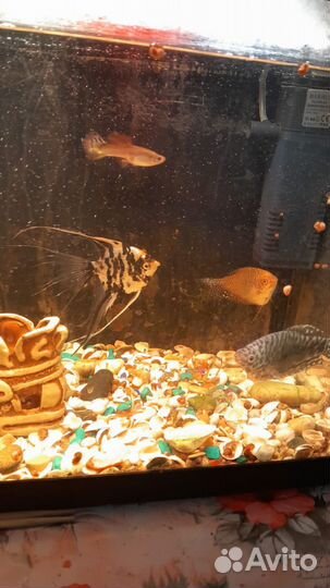 Аквариум с подсветкой и фильтром