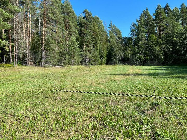 Участок 8 сот. (ИЖС)