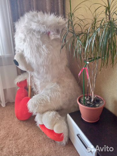 Плюшевый медведь