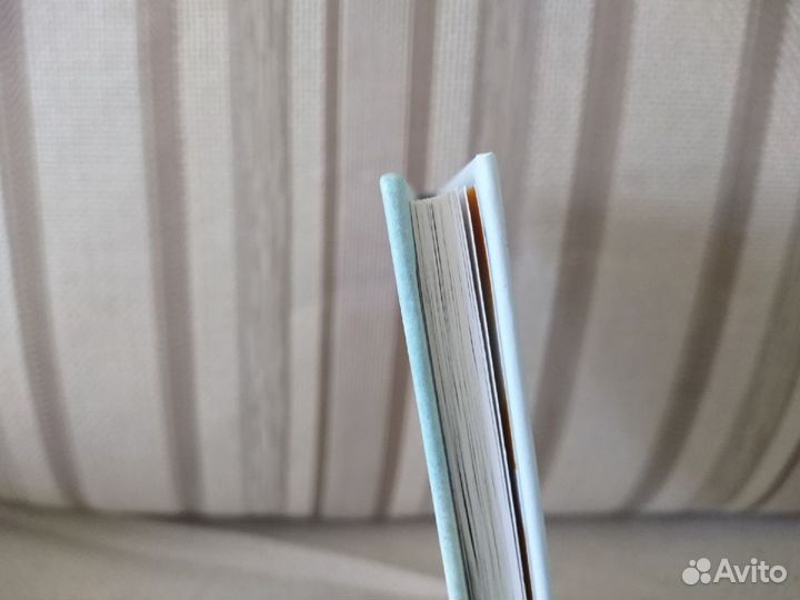 Муравей Ферда. Секора. Новая