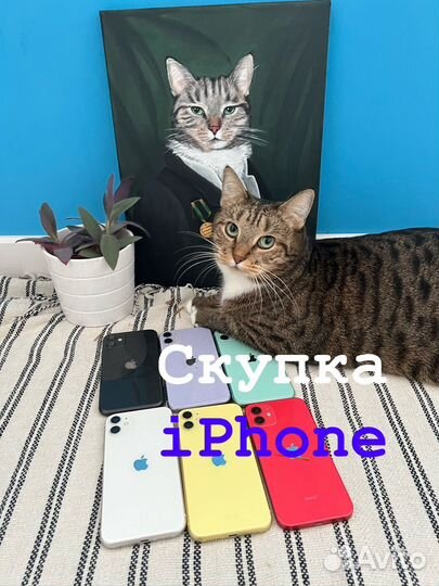 Скупка iPhone