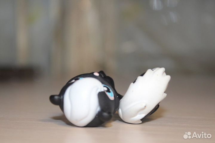 Littlest pet shop белка