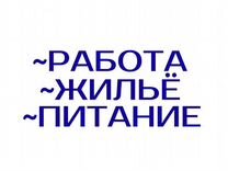 Упаковщик сухпайков с проживанием Вахта. Москва