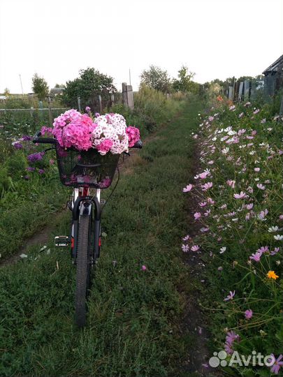 Спортивный велосипед бу