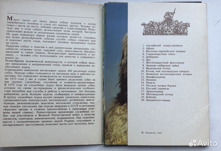 Набор открыток СССР