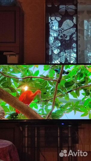 Телевизор Samsung SMART tv 4k 60 дюймов