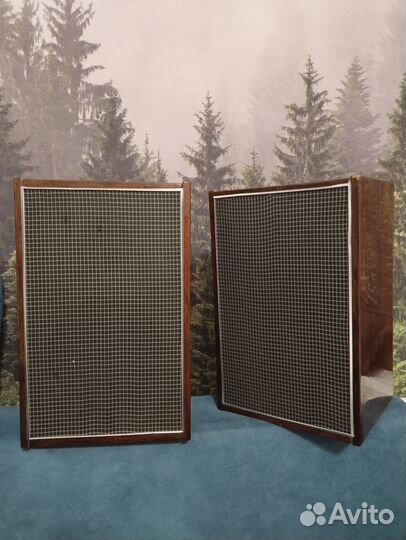 Акустическая система 10мас-1М, колонки, набор