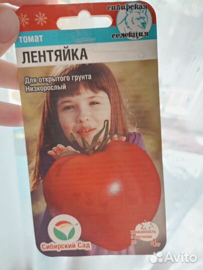 Рассада помидор
