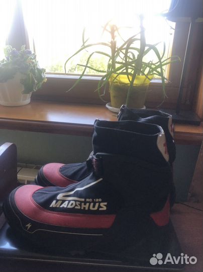 Лыжи salomon equipe skate 7