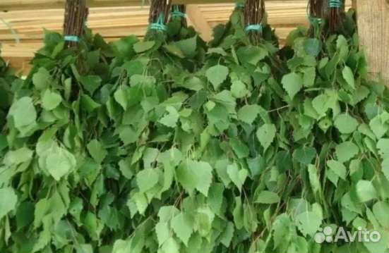 Веники березовые