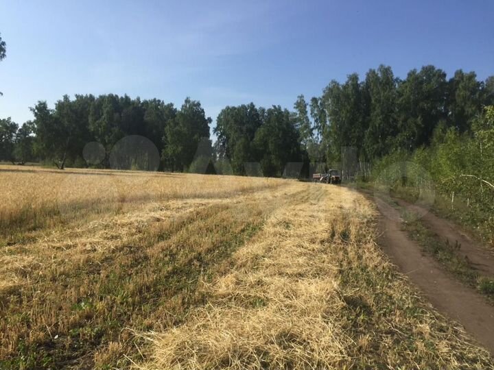 Участок 12,47 га (СНТ, ДНП)