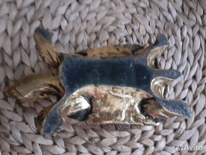 Золотая черепаха