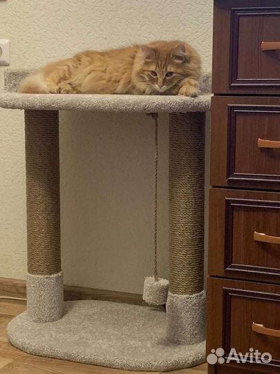 Когтеточка с домиком, производство