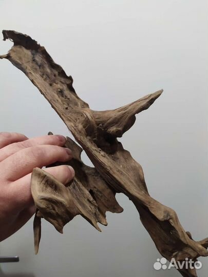 Коряги для террариума