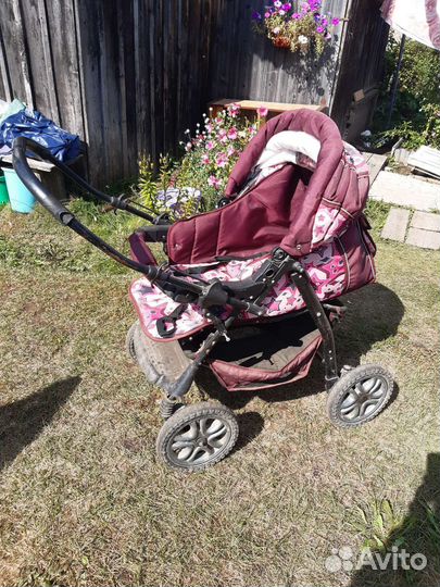 Отдам бесплатно