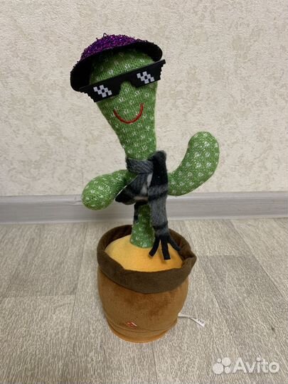 Поющий кактус