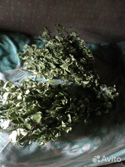 Веники для бани берёзовые/дубовые