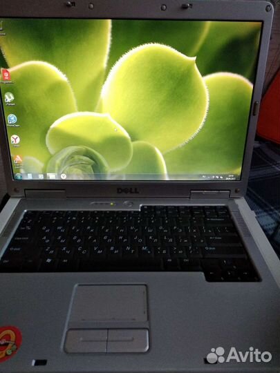 Ноутбук dell