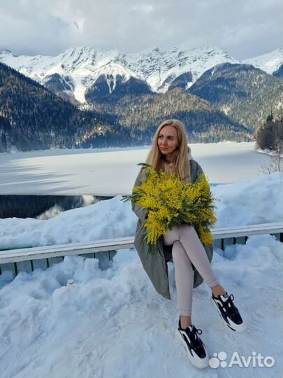 Экскурсии (Красная Поляна,Абхазия)