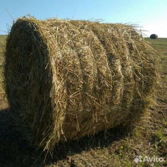 Сено в рулонах