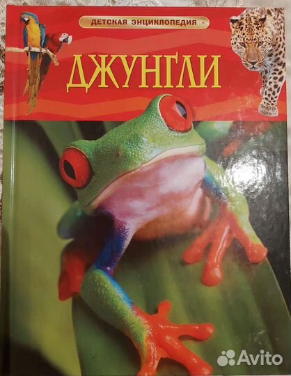Новые детские книги энциклопедии