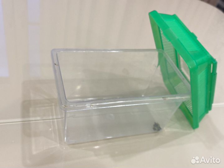 Контейнер для рыбок