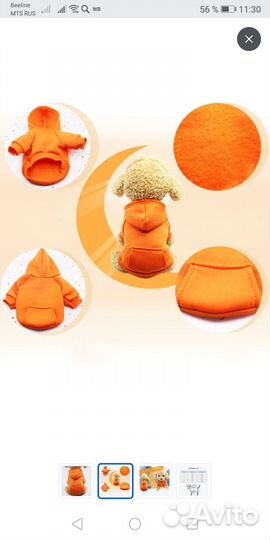 Одежда для собак