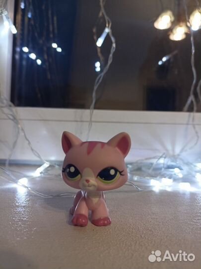 Lps кошки