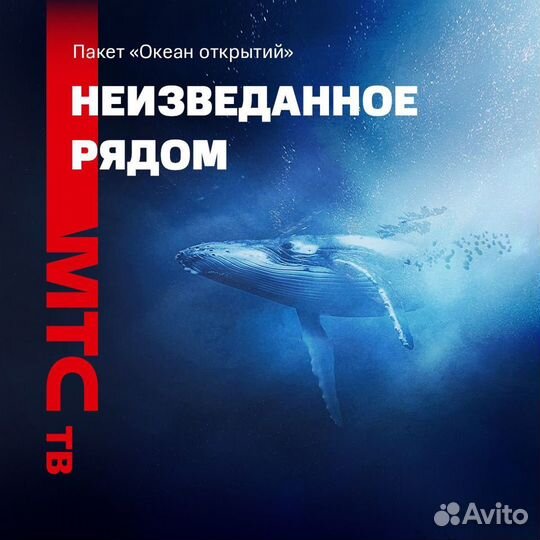 Спутниковое телевидение