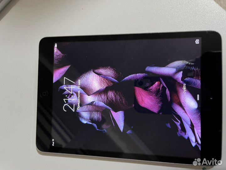 iPad mini 1