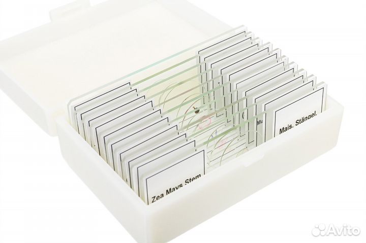 Набор микропрепаратов Bresser 10 шт., в кейсе